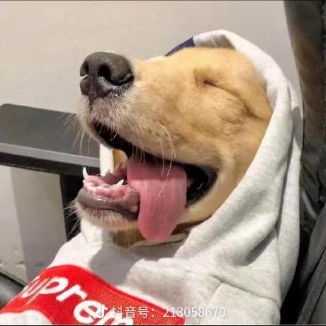 Ganyudedog Github - High Resolution Colorful Arts for Desktop