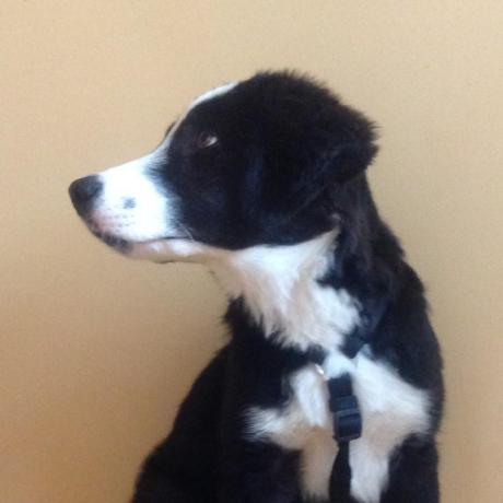 Christian Me Chris Github - Creative Light Art - High Resolution