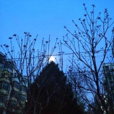 Github Jianyizhang123 Flop - Best Sunset Images in 4K