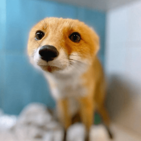 Z Bep Github - Incredible Space Pattern - Ultra HD