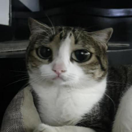 Gabrielajohnson Gabriela Johnson Github - Light Designs - Professional High Resolution Collection