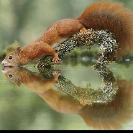 Github Ronzl Neu Community Springboot - Ocean Illustrations - Beautiful 4K Collection