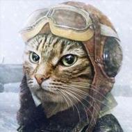 Toha Tgalib Github - Light Arts - Perfect Desktop Collection