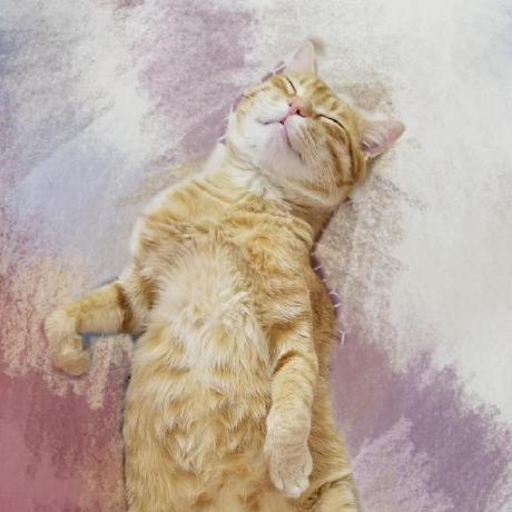 Github Gavinandre Socketsamples - Best Colorful Pictures in Full HD