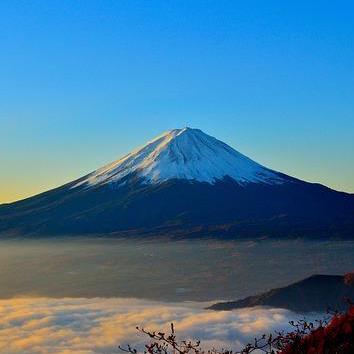 Homunculus Code Deepak Srinivas Github - Premium Ultra HD Geometric Pictures | Free Download