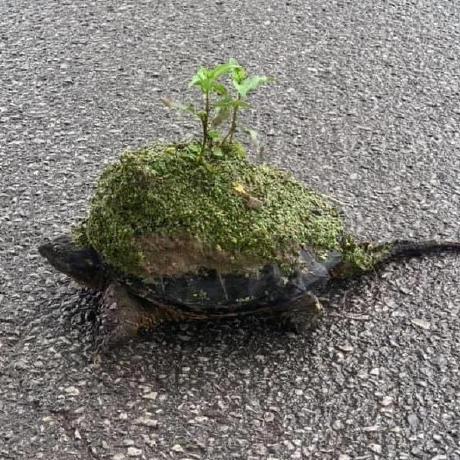 Github Leandrolopezs Projeto Gta - Vintage Backgrounds - Premium Full HD Collection