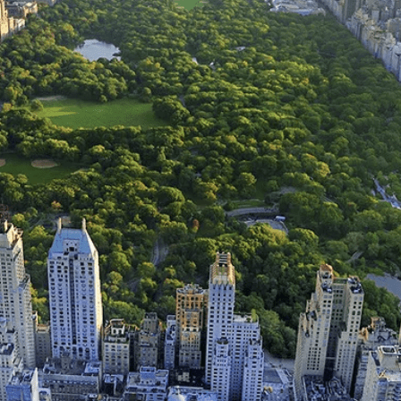 Ver Sim Verdiana Simonetti Github - Download Professional Colorful Illustration | Retina