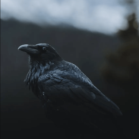 Sato Github 35 Github - Premium Sunset Design Gallery - Desktop