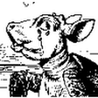 Github Yvanorek Hammingweight - Professional Space Photo - Retina