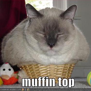 Pat84571 Patryk Github - Download Classic Mountain Photo | Desktop