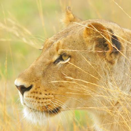 Lovingyy Loving Github - Vintage Photos - Beautiful Mobile Collection