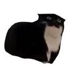 Josiahroa Josiah Roa Github - Ocean Pictures - Perfect HD Collection