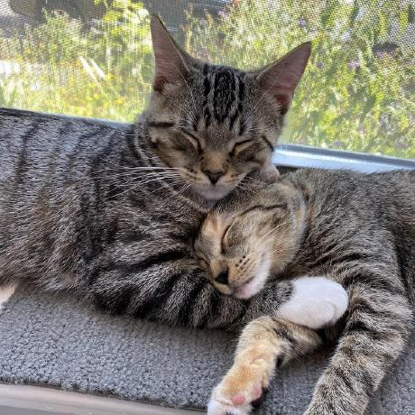 Github Skurdydyk Ros Tank - Ocean Photos - Classic Retina Collection