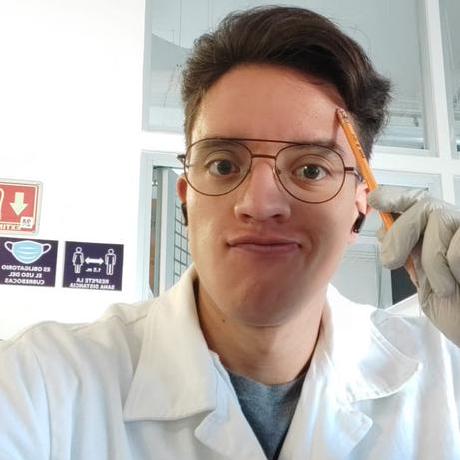 Diegoo Diaz Github - Elegant Nature Photo - Full HD