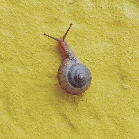 An Chi Anchi Github - Vintage Art Collection - Retina Quality