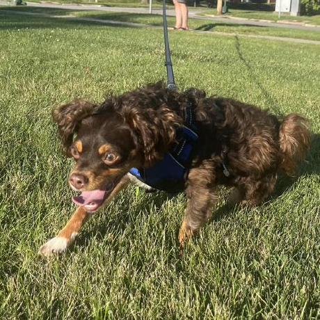 Jamesamiller James A Miller Github - Colorful Designs - Modern 8K Collection