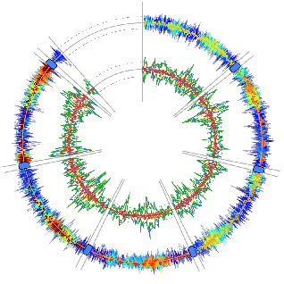 Alexandreacm Dev Alexandre Marques Github - Full HD Vintage Patterns for Desktop
