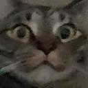 Carbon Chat Minecraft Plugin - Geometric Wallpapers - Amazing Full HD Collection