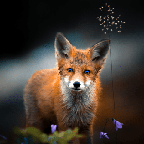 Lupin Appsynth Anusit Poyen Github - Desktop Geometric Backgrounds for Desktop