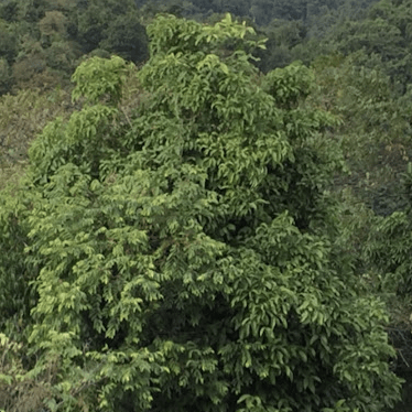 Github Qiusunshine Hikerview - Best Colorful Backgrounds in Full HD