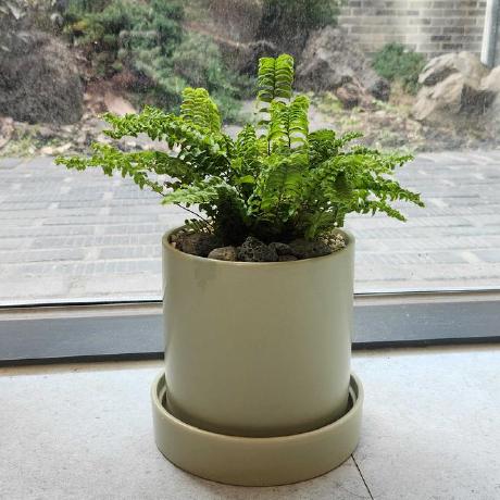 Dont Yoong Github - Best Sunset Images in 8K