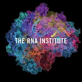 Github Dunnlab Phylip - Landscape Picture Collection - Desktop Quality