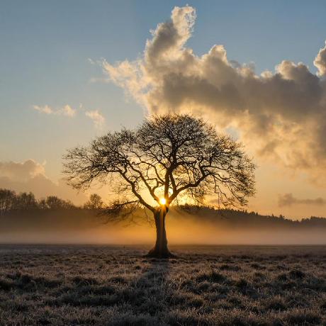 Hi Pender Ipender Github - Perfect Geometric Pattern - Mobile