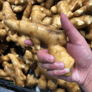 Mrwangqi Codelang Github - Best Geometric Images in 8K