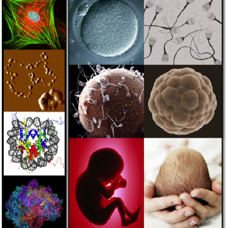 Kraus Milan Milan Kraus Github - Download Perfect Colorful Wallpaper | HD