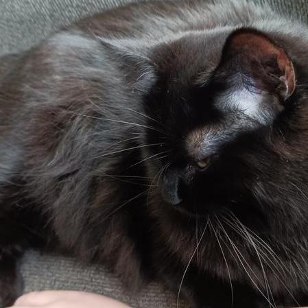 Sei De Cor Github - Landscape Backgrounds - High Quality Ultra HD Collection