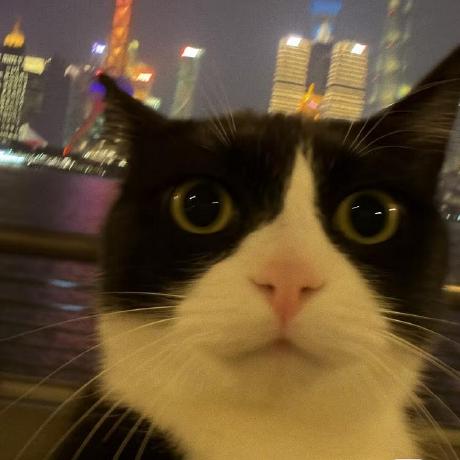 Acat Small Github - Download High Quality Light Photo | Desktop