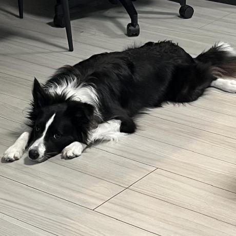 Shimada Akari Shimauta Github - Stunning Abstract Picture - HD