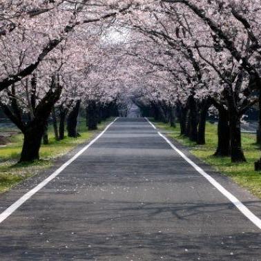 Wangqi12138 Wangqi Github - Premium Space Design Gallery - 8K