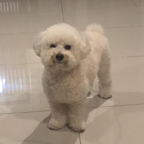 Arianne G V Github - Amazing Retina Nature Photos | Free Download