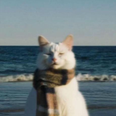 Github Zahi Hub Sea Thru1 Python Base Project - Best Landscape Arts in Full HD