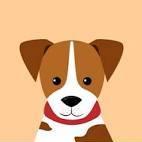 Vasylnaumenko Vasyl Naumenko Github - Ultra HD High Resolution Nature Images | Free Download