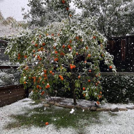 Janet Responsibleai Github - Ultra HD High Resolution Space Illustrations | Free Download