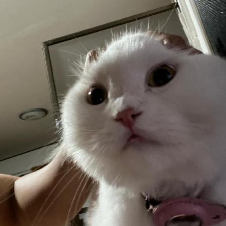 Lab9 Se234 Jiraphat Github - Premium Space Illustration Gallery - 8K