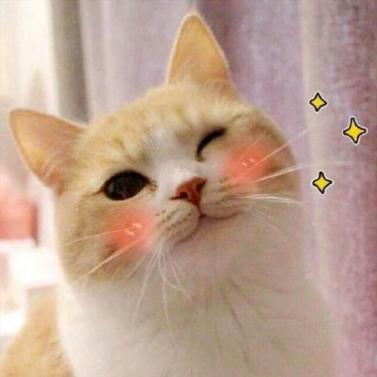 Valery Verush Github - Download Elegant Gradient Photo | Retina