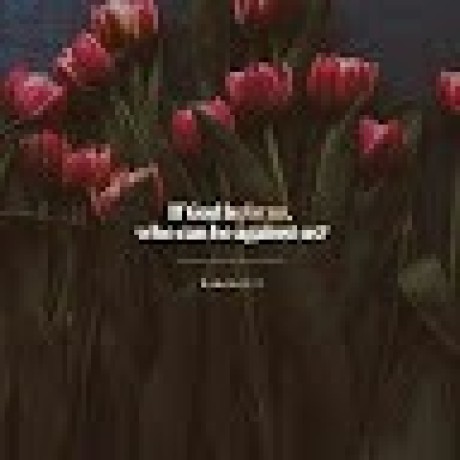 Github Esmeurena Oasis - Perfect Desktop Gradient Backgrounds | Free Download