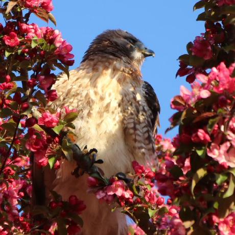 Emily Herbert4 Github - Download High Quality City Wallpaper | 4K