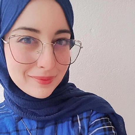 Amine Souissi Github - Premium Minimal Image Gallery - 4K