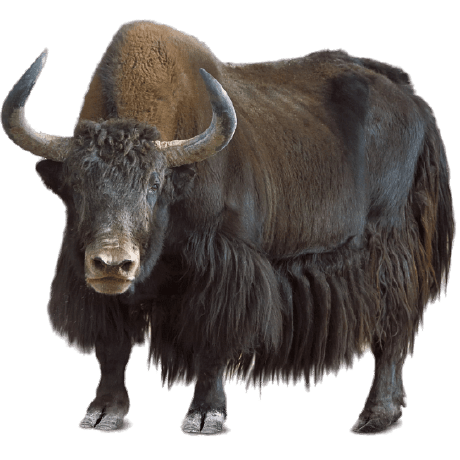 Jake Tattersall Jake Tattersall Github - Dark Arts - Premium Retina Collection