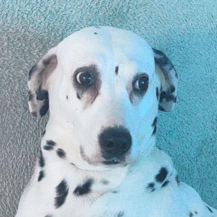 Zhangchunmai Mai Github - Full HD Ocean Pictures for Desktop