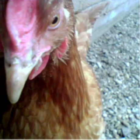 Github Chadderz121 Wii Ct Code Ct Code Mario Kart Wii Mod - Premium Gradient Illustration Gallery - Full HD