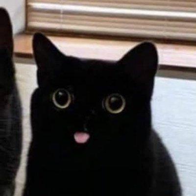 Ryz A Kakeru Nonaka Github - Incredible HD Light Illustrations | Free Download