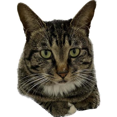 Github Imaxct Lab1 - Space Art Collection - 8K Quality