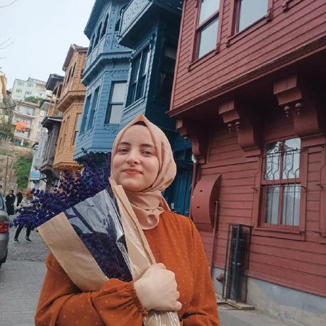 Ertugakmann Ertug Akman Github - Minimal Illustration Collection - High Resolution Quality