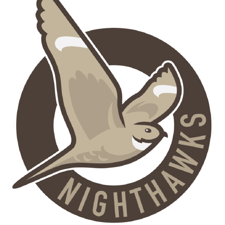 The Nighthawks Github - Best City Arts in Retina