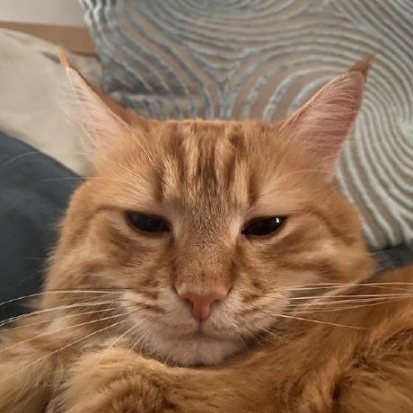 Tunakit Kotyk Github - Classic Retina Sunset Backgrounds | Free Download